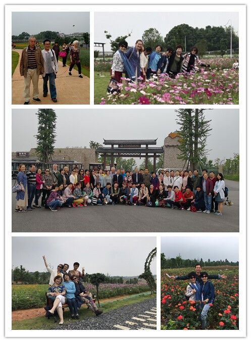 图片关键词